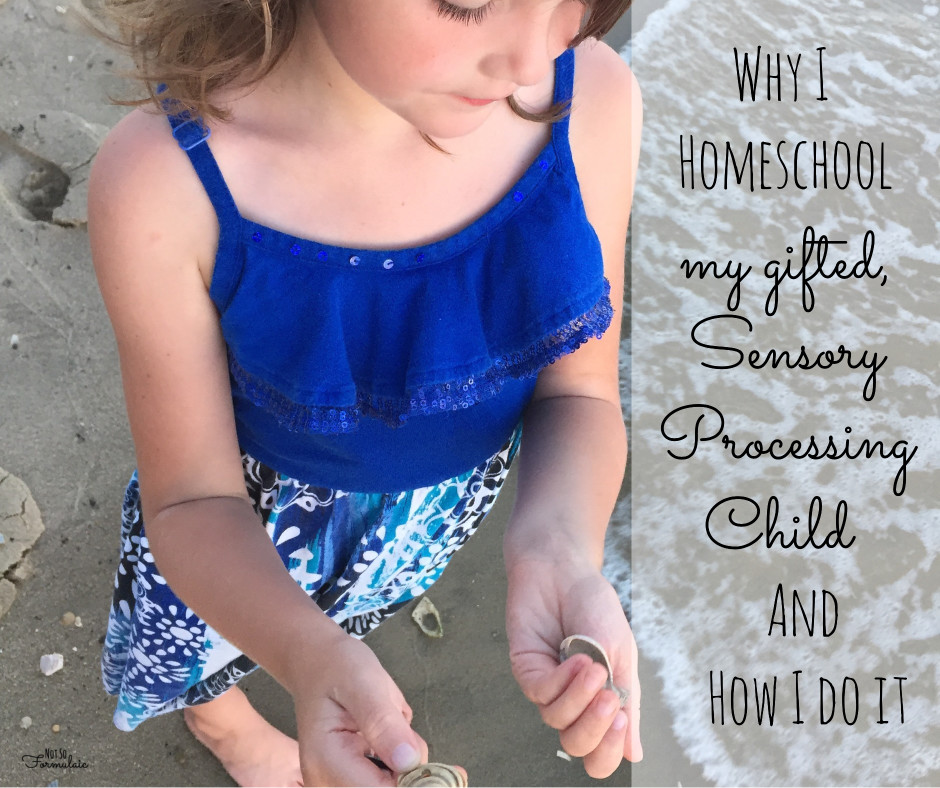 Homeschoolingspd - Why I Homeschool My Gifted, Sensory Processing Child, And How - Gifted/2e Education