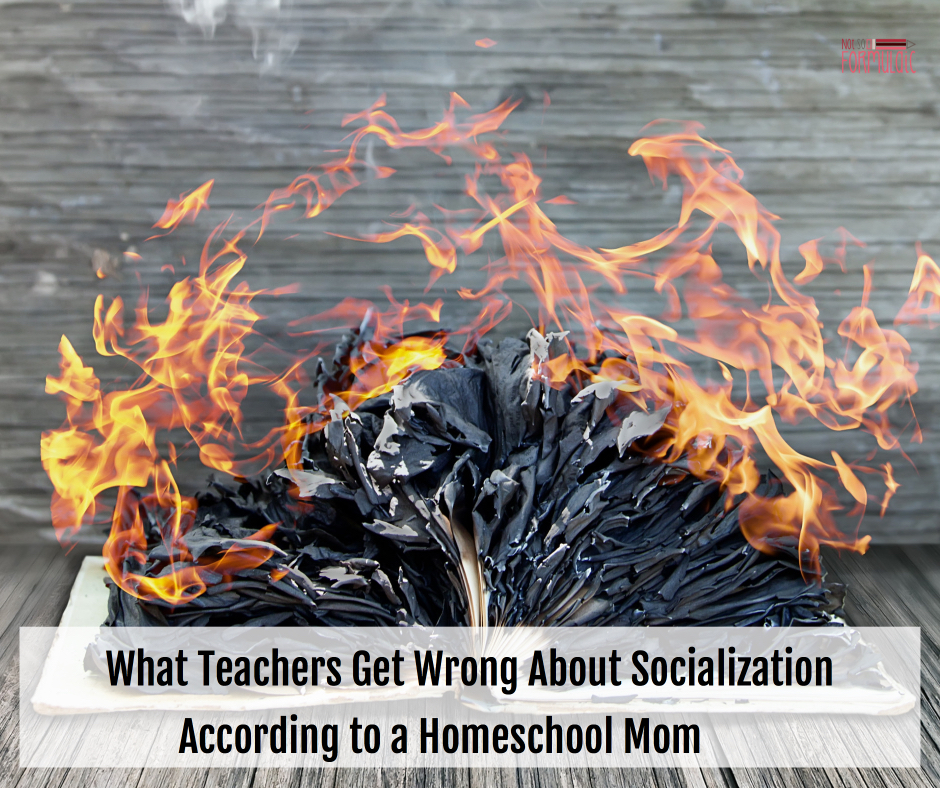 Socializationfb - What Teachers Get Wrong About Socialization, According To A Homeschool Mom - Gifted/2e Education